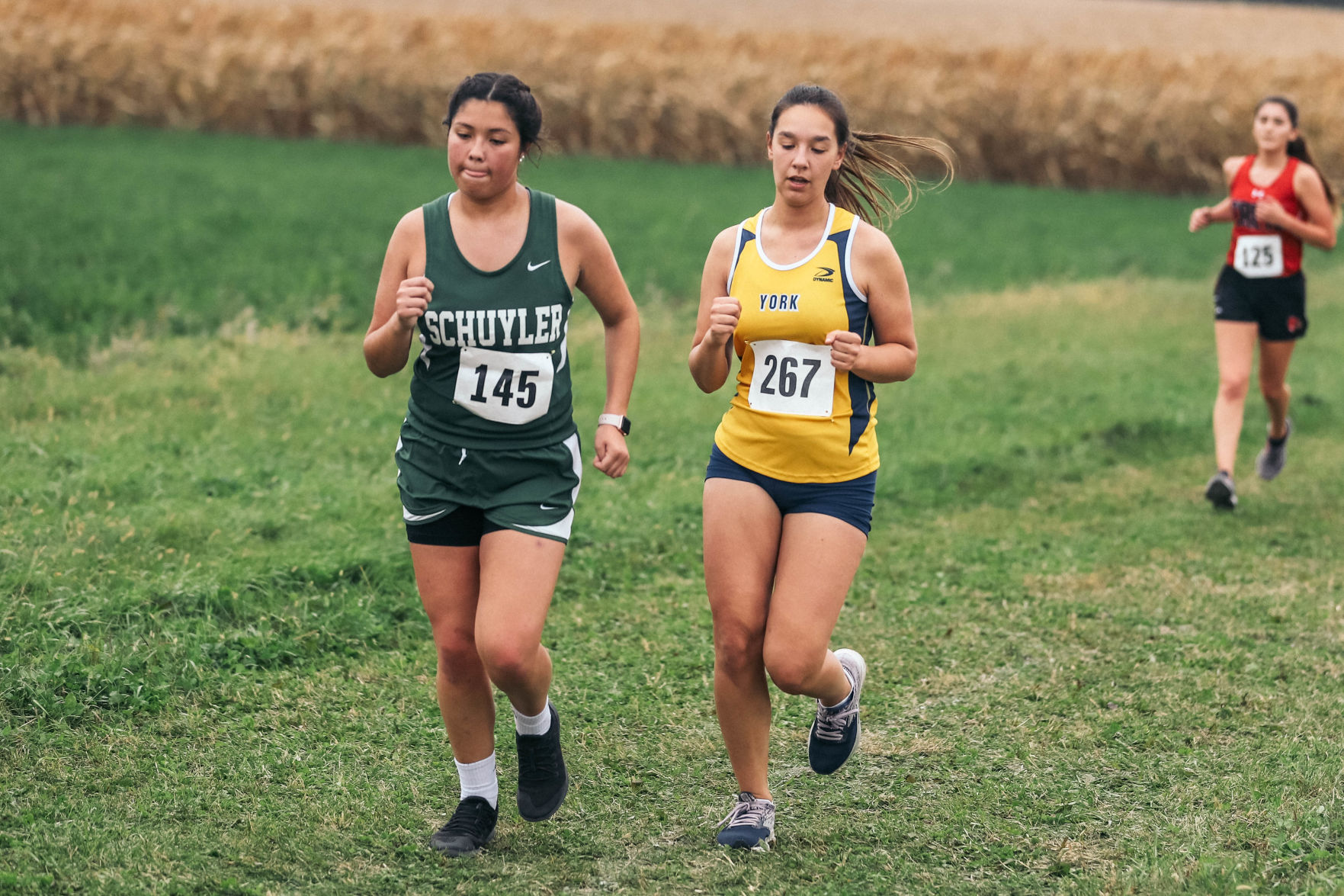 York Central Conference XC (10).jpg